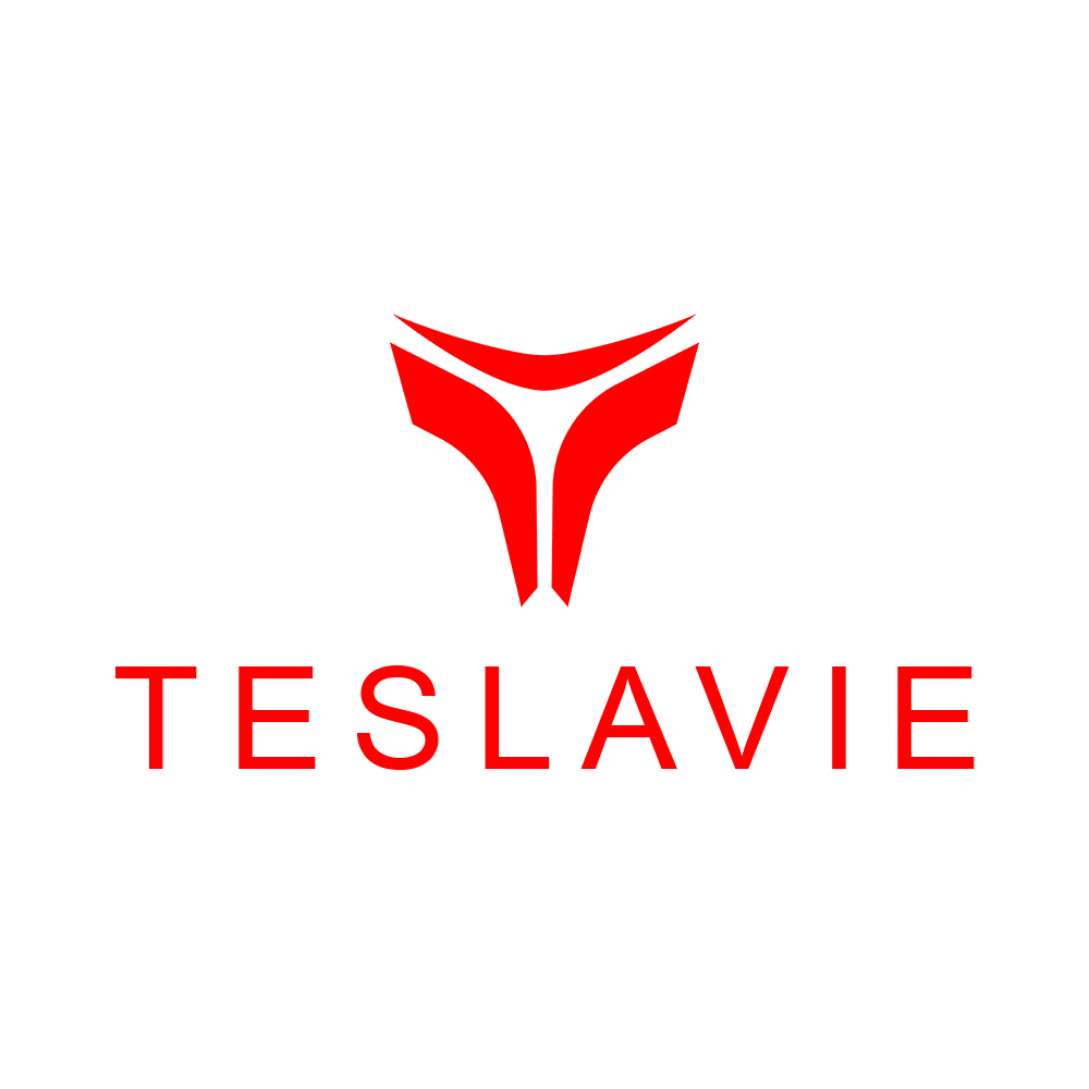 X Accessories Tesla Teslavie Model |